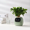 Vaso Inteligente Com Tela IPS, Sensor 7 em 1 e App Tuya Smart Life | Innova Fácil